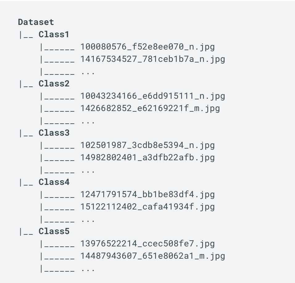 dataset structure